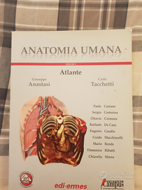 Anatomia umana