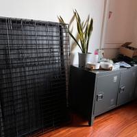 Kit completo accessori cane (quasi tutti nuovi)