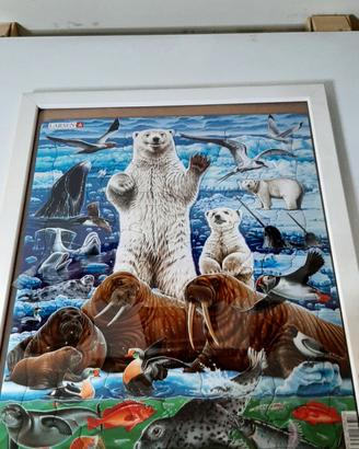 Puzzle Larsen orsi polari