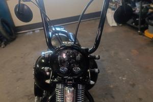 softail cross Bones 2009 1584