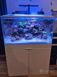 ACQUARIO AQPET CABINET 90x50x80 225 Litri Marino