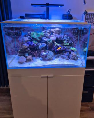 ACQUARIO AQPET CABINET 90x50x80 225 Litri Marino