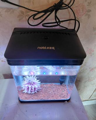 Acquario 10lt
