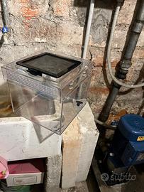 Teche terrario per insetti e ragni