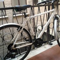 bicicletta in buon stato 