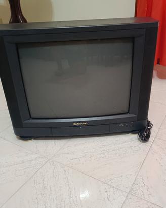 TV 24 pollici Samsung 