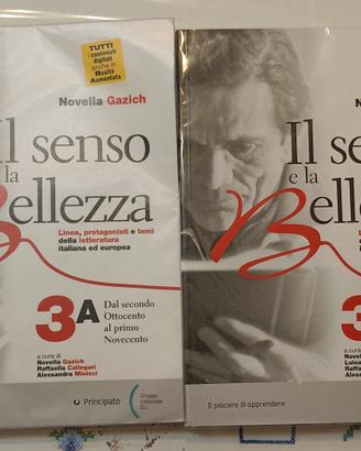 Il senso e la bellezza 3A e 3B