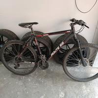 Rampichino