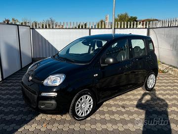 Fiat Panda 1.0 FireFly S&S Hybrid Pandina *PROMO F