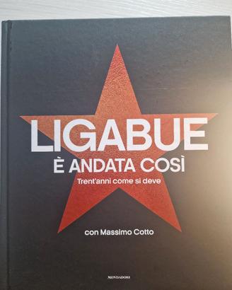 Ligabue è andata così