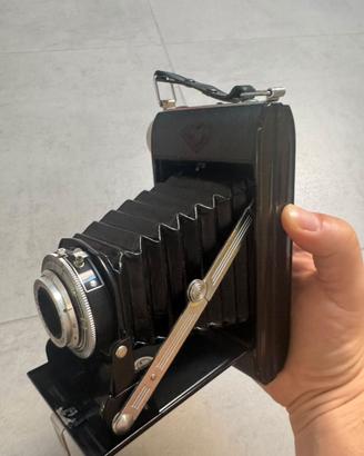 Agfa Isolette I Vario 6x6 – Agnar 85mm f/4.5 – Fot