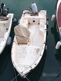 Gabbianella con Johnson 737