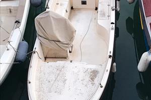 Gabbianella con Johnson 737