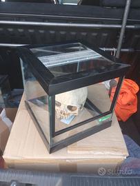 Terrario in vetro 20x20x21
