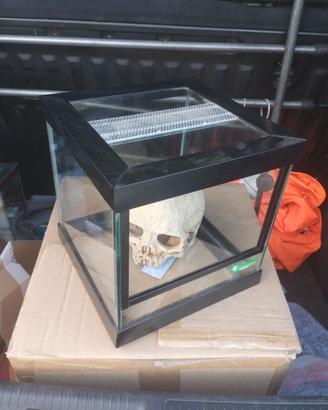 Terrario in vetro 20x20x21