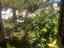 Immagine 12