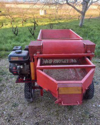 Cernitrice/Defogliatore Zanetti per olive