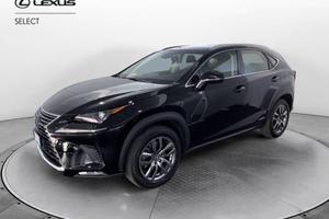 Lexus NX 300 h 2.5 Business 4wd cvt