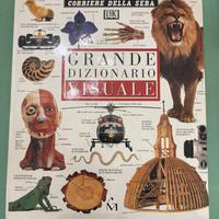 Grande dizionario Visuale - corriere della sera -
