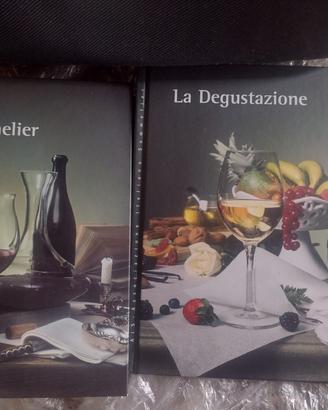 corso Sommelier AiS libri