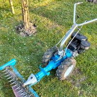 tagliaerba Falciatrici disboscatore 