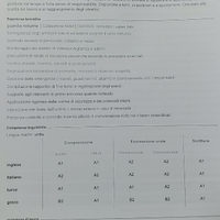 Operaio / lavapiatti / muratore / maggaziniere