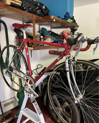 Bici corsa vintage - Telaio Rossignoli Columbus SL