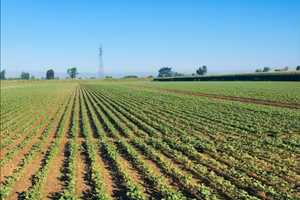 Azienda agricola a seminativo