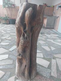 Tronco ginepro