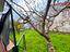 Immagine 20