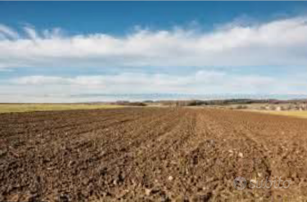 Terreno agricolo