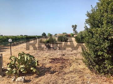 Terreno - Siracusa
