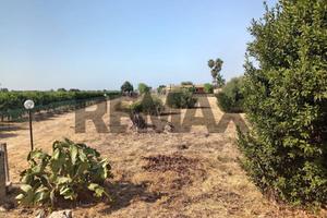 Terreno - Siracusa