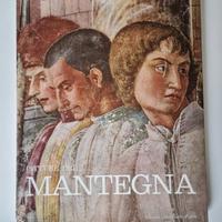 Pitture del Mantegna