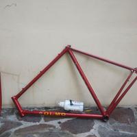 Telaio vintage Olmo