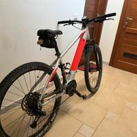 E-mtb pedalata assistita