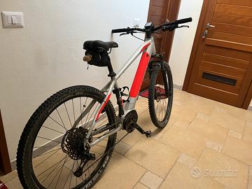 E-mtb pedalata assistita