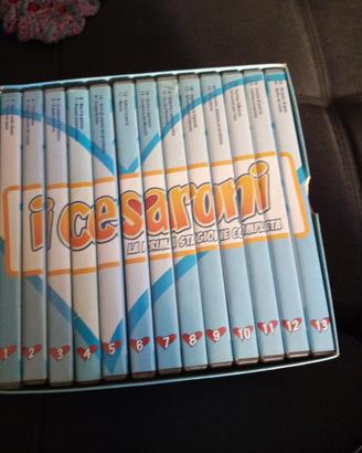 dvd cesaroni prima serie 