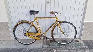 Bici da città ruote 28, parafanghi e portapacchi
