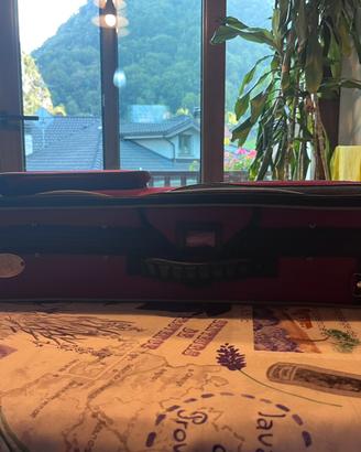 Custodia violino