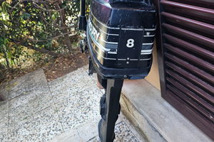 Fuoribordo 8cv 2tempi mercury