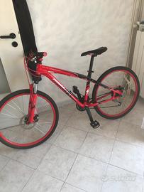 Mountain bike