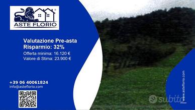 Immobile in asta di 13095 m² a Verzegnis