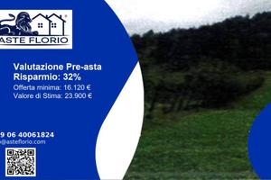 Immobile in asta di 13095 m² a Verzegnis