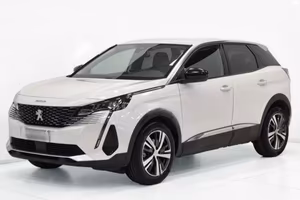 PEUGEOT 3008 AUTOCARRO N1 IVA ESPOSTA
