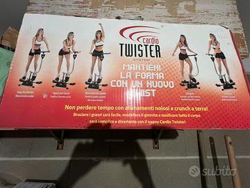 Cardio twister