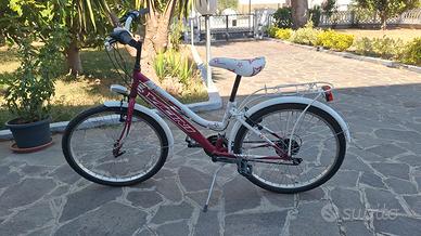 Bicicletta "Vicini" modello Sensation
