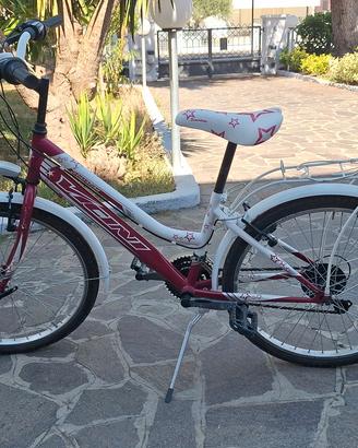 Bicicletta "Vicini" modello Sensation