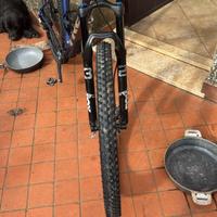 Treak procaliber 2026