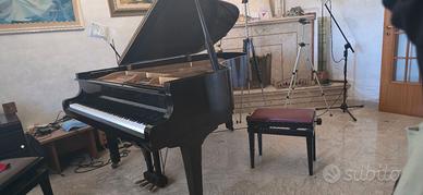 Pianoforte a mezza coda